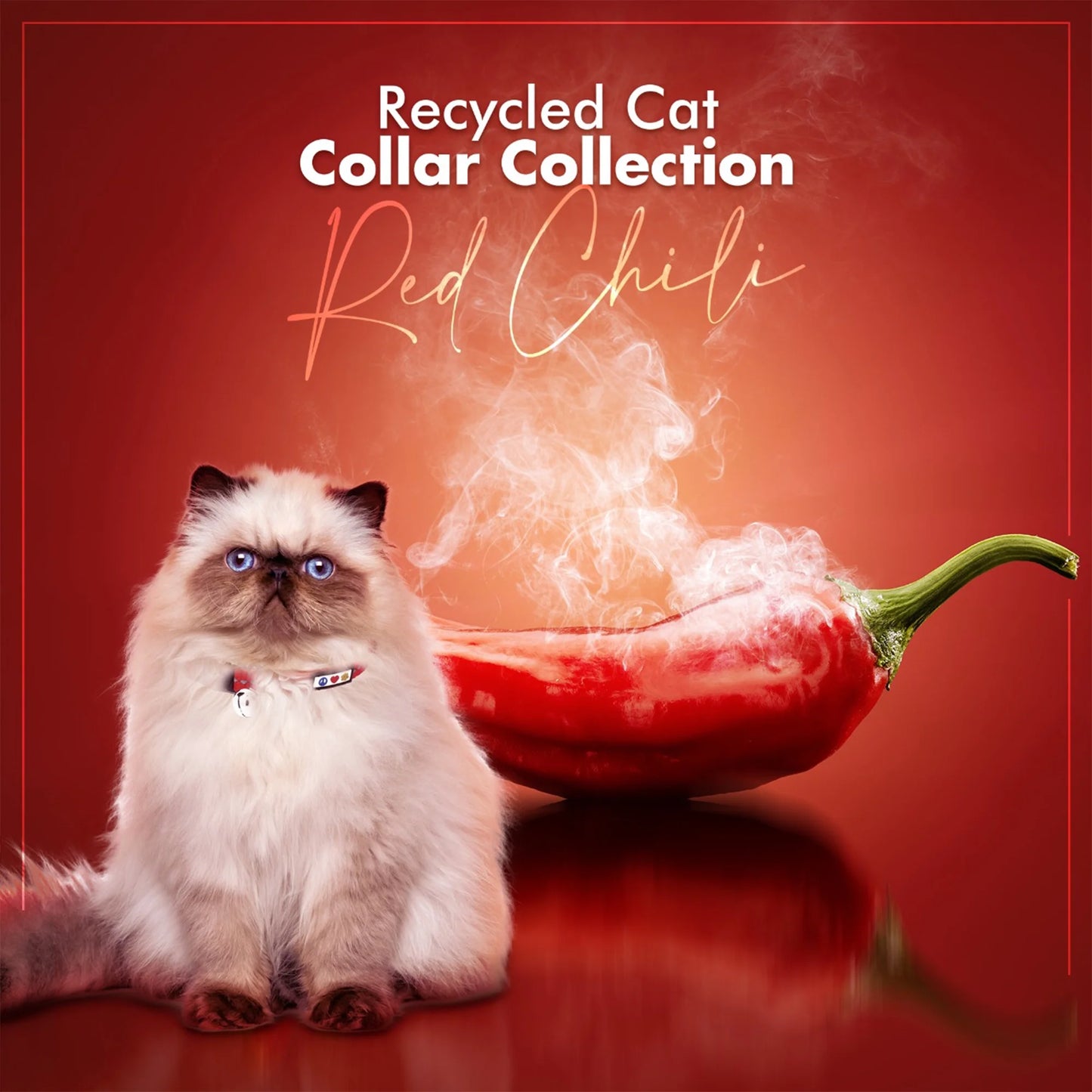 Recycled Cat Collar with Reflective Stitched and Safety Buckle Removable Bell Reflective Cat Breakaway Collar - Red Cat Collar.